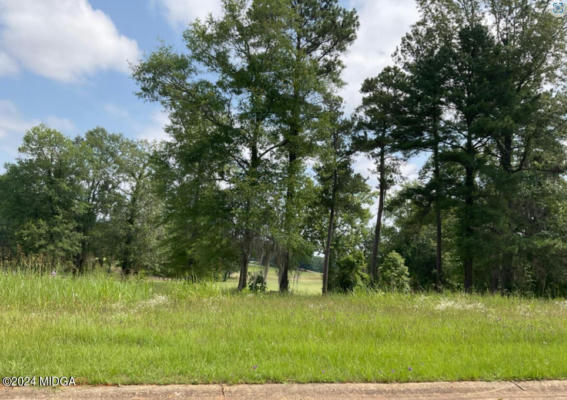 LOT 2 RIVER RIDGE DRIVE, HAWKINSVILLE, GA 31036 - Image 1